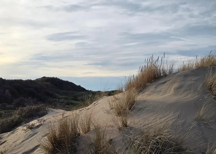 Hébergement de vacances 't Vissershop Egmond aan Zee