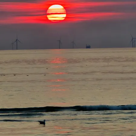 't Vissershop * Egmond aan Zee